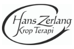 Hans Zerlang Logo